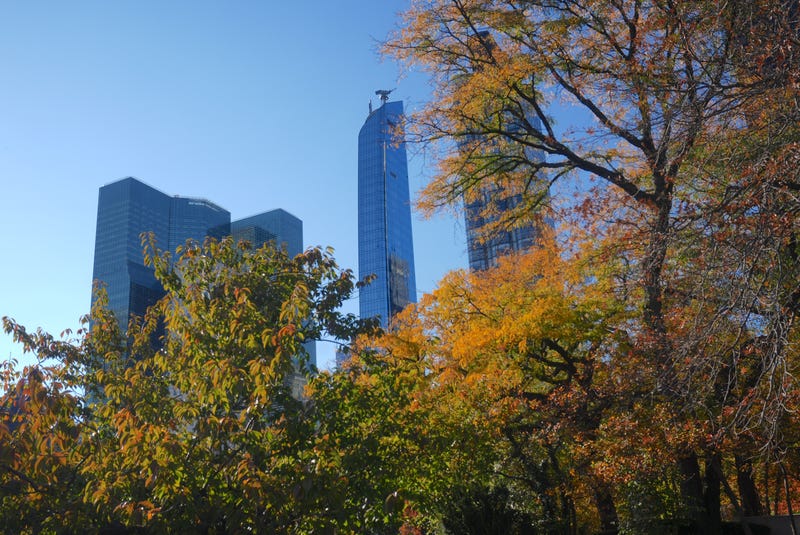Central Park is seen on Oct. 24, 2024, amid a weeks-long drought