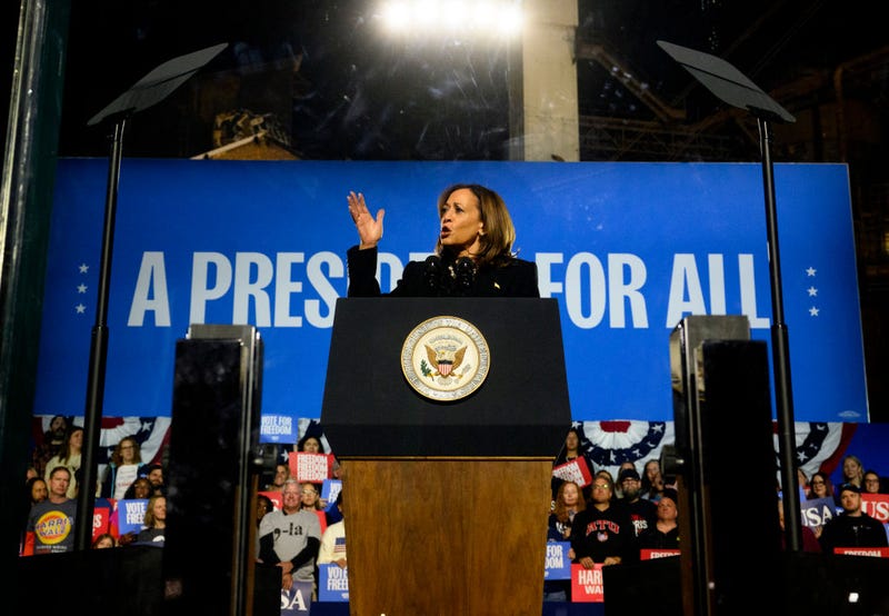 Democratic presidential nominee, U.S. Vice President Kamala Harris speaks at a campaign rally at the Carrie Furnace on November 04, 2024 in Pittsburgh, Pennsylvania.