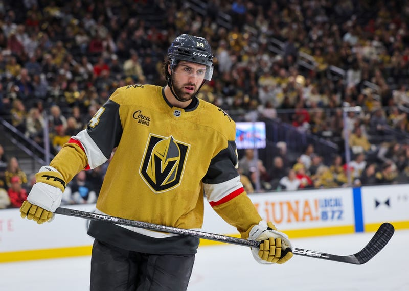 Nicolas Hague #14 of the Vegas Golden Knights takes a break during a stop in play in the third period of a game against the Utah Hockey Club at T-Mobile Arena on November 02, 2024 in Las Vegas, Nevada.
