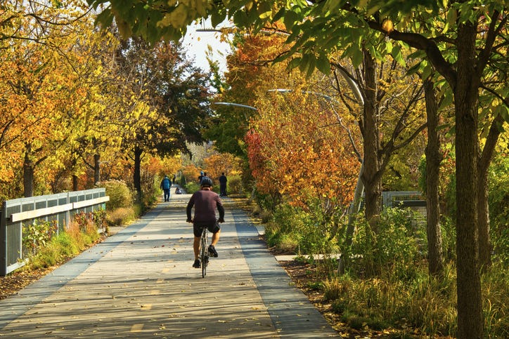 Bike Trails in Autumn