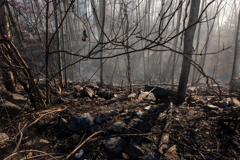 Burnt and smoldering trees sit along a highway as firefighters battle a series of brush fires on Nov. 09, 2024 outside of Pompton Lakes, New Jersey.