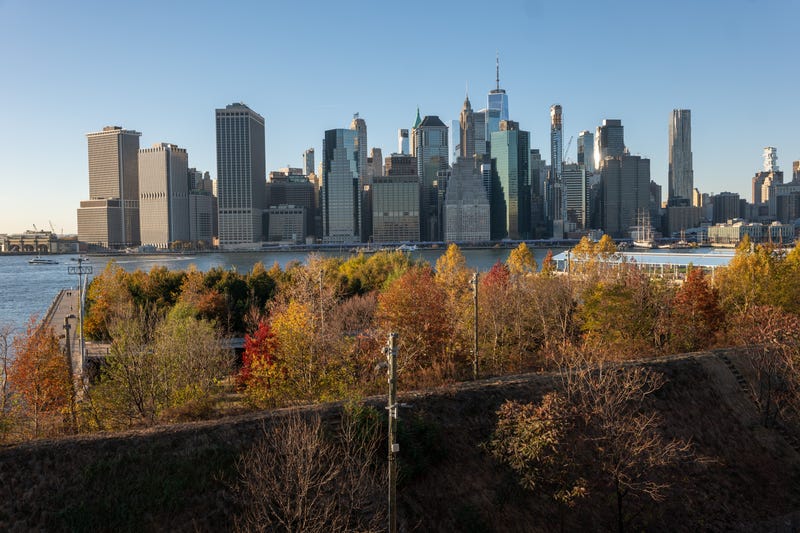Shriveled and dried leaves hang from a tree at a Brooklyn promenade overlooking Manhattan on November 15, 2024