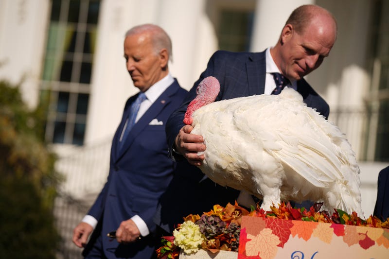 U.S. President Joe Biden leaves the stage after pardoning the National Thanksgiving Turkey Peach, held by Chair of the national turkey federation John Zimmerman, during a ceremony on the South Lawn of the White House on November 25, 2024 in Washington, DC. 