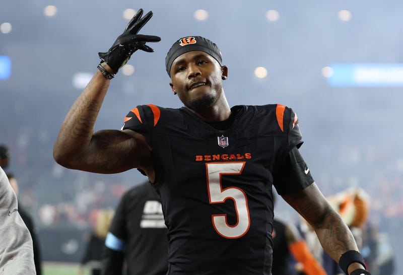 Tee Higgins