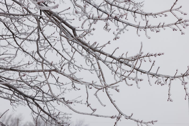 Getty - Chase Castor