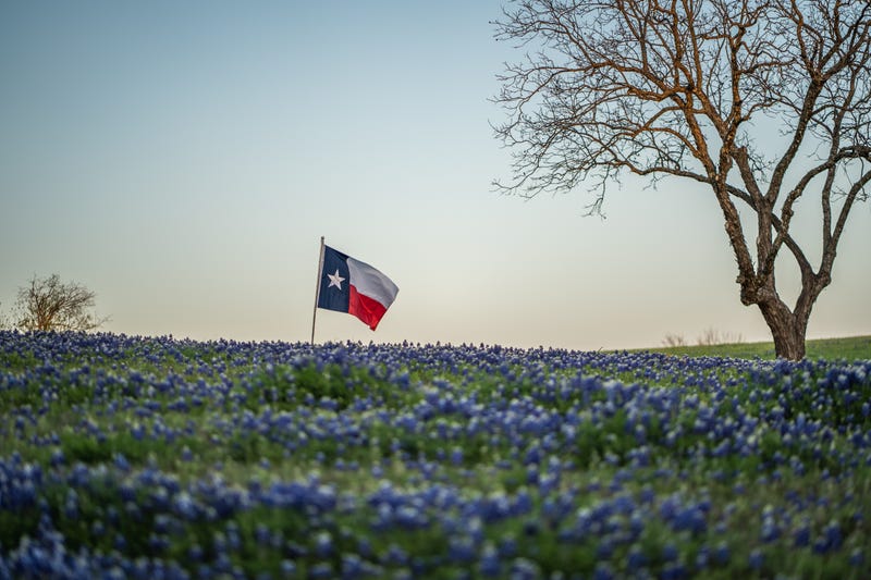 Texas is now the second most diverse state in the country, trailing only California, according to a new WalletHub study released this week.