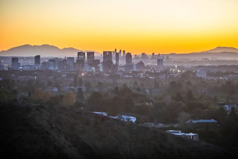 Burned trees from the Palisades Fire are seen from Will Rogers State Park, with the City of Los Angeles in the background, in the Pacific Palisades neighborhood on January 15, 2025