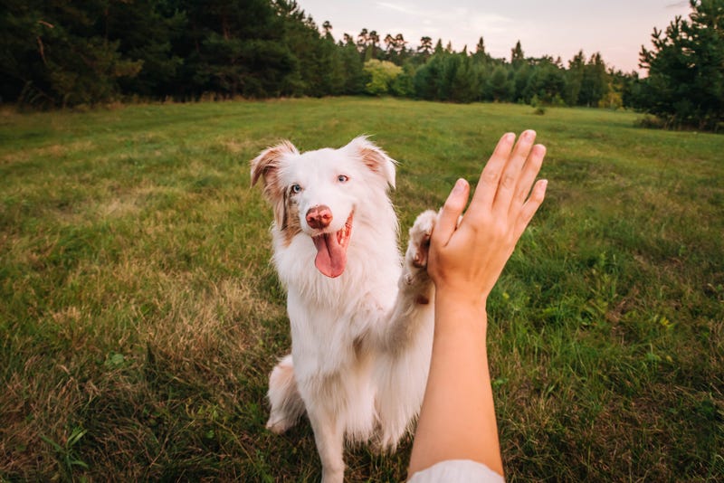 High Five!