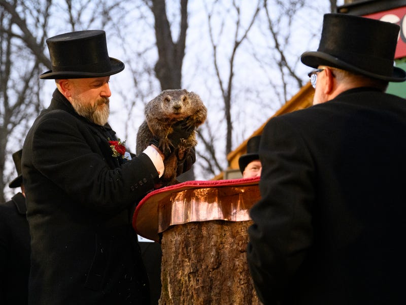Punxutawney Phil