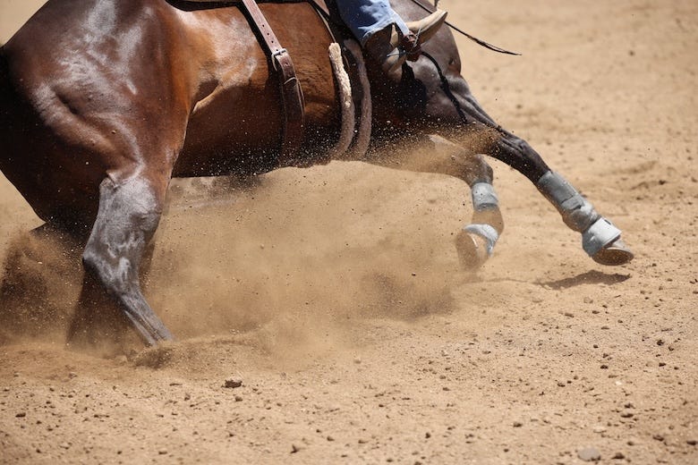 Cowboy riding a horse during a rodeo