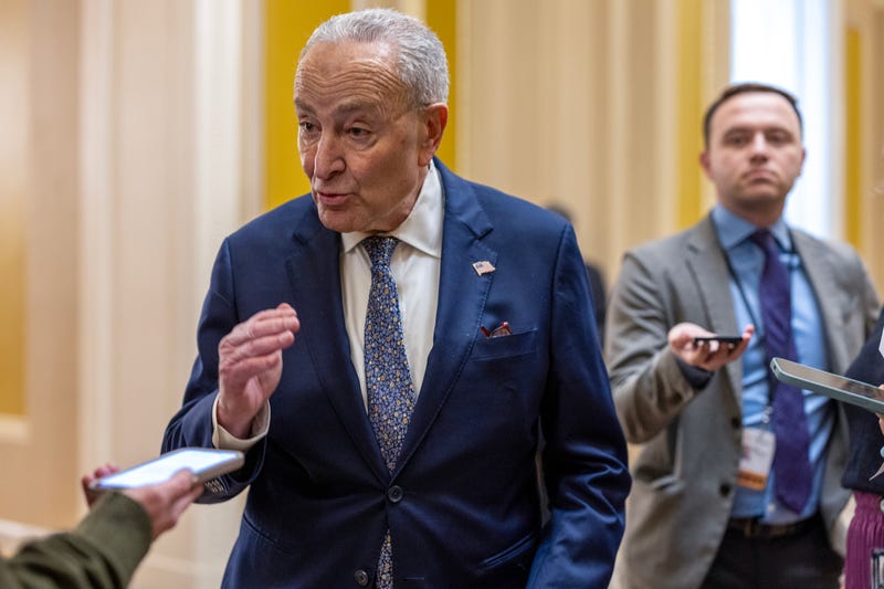 Senate Minority Leader Chuck Schumer (D-NY) speaks to reporters at the U.S. Capitol on March 14, 2025