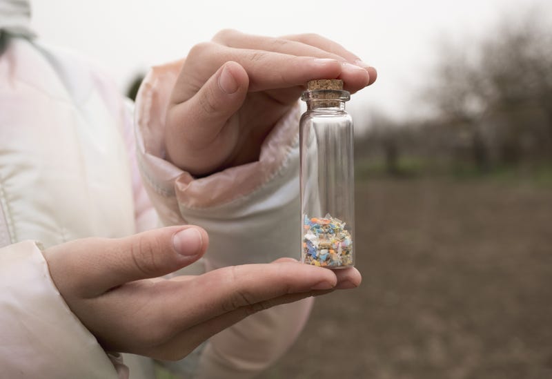 A new study of 40 bodies of water in Minnesota found microplastics in every one of them. "This is scary because we actually don't know the implications of this," says Katelynn Rolfes, a conservation advocate for Environment Minnesota.