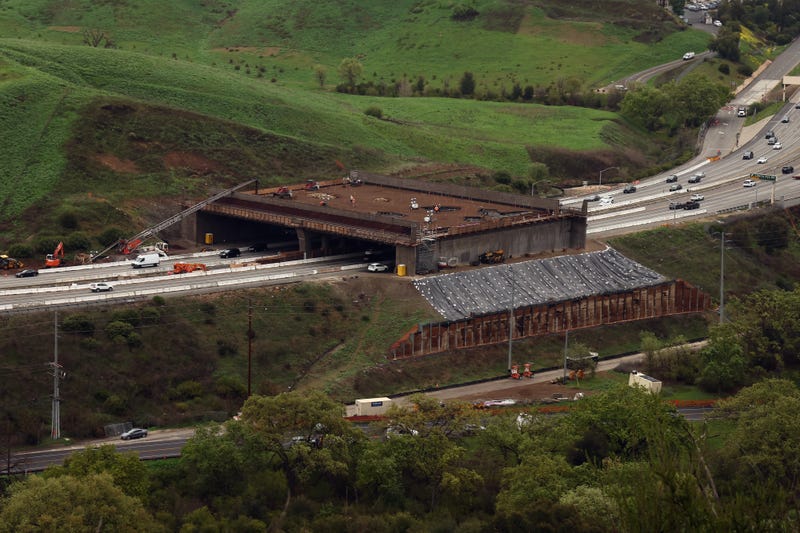 Wallis Annenberg Wildlife Crossing