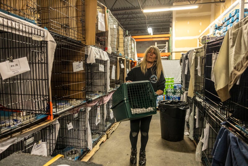 Lisa Jaeger, board member of Happy Cat Sanctuary, at a warehouse in Holbrook, New York on April 7, 2025. Jaeger is caring for over 200 cats rescued from a fire that killed over 150 cats and Christopher Arsenault, the founder of the cat sanctuary in Medford, New York.