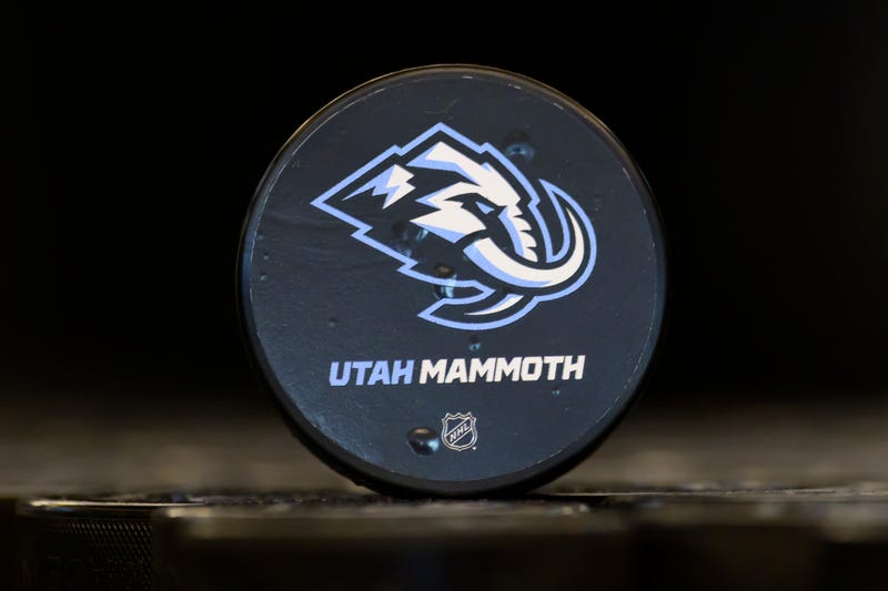 Utah Mammoth logo