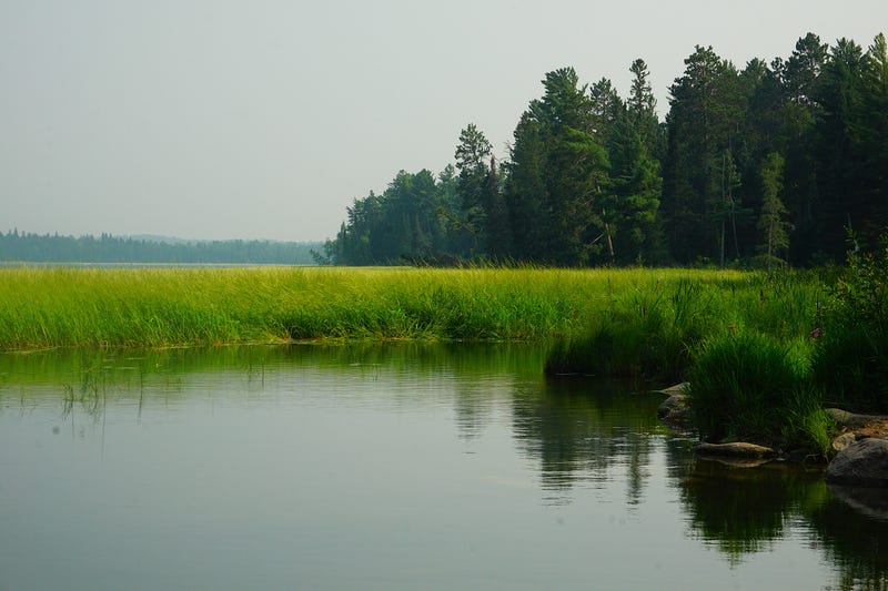 If you're in areas like northern Minnesota's Itasca State Park this weekend, you may see some hazy, smoky skies.