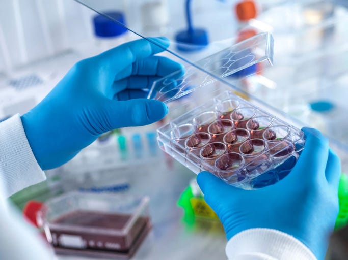 Stock photo of work in a lab.
