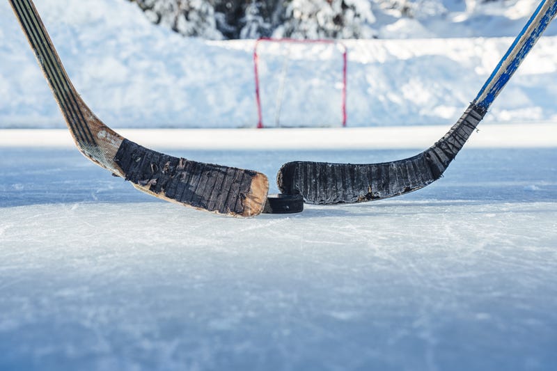 As the Minnesota Wild prepare to open their regular season later this week, the Wild Foundation is promoting its new "Skate it Forward" program.