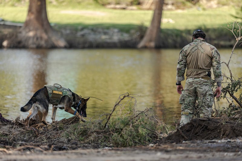A cadaver dog aids in a search and rescue operation on the bank of the Guadalupe River on July 11, 2025, in Kerrville, Texas.