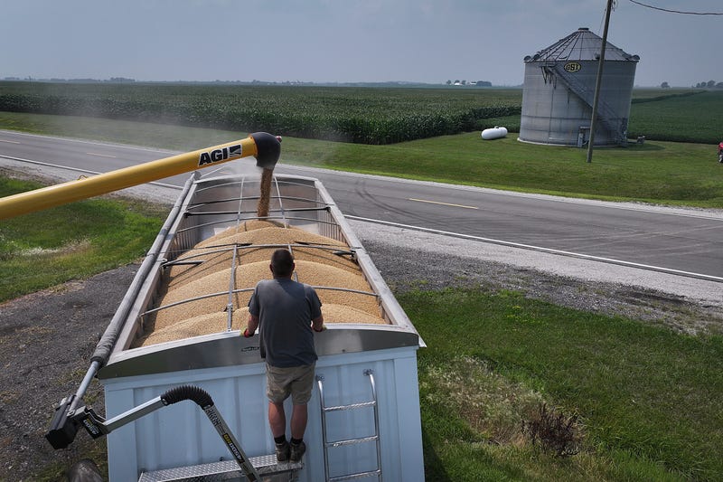 The biggest buyer of U.S. and Minnesota-grown soybeans - China - is looking elsewhere, and buying from other countries. That is major cause for concern for the Ag economy nearing harvest season.