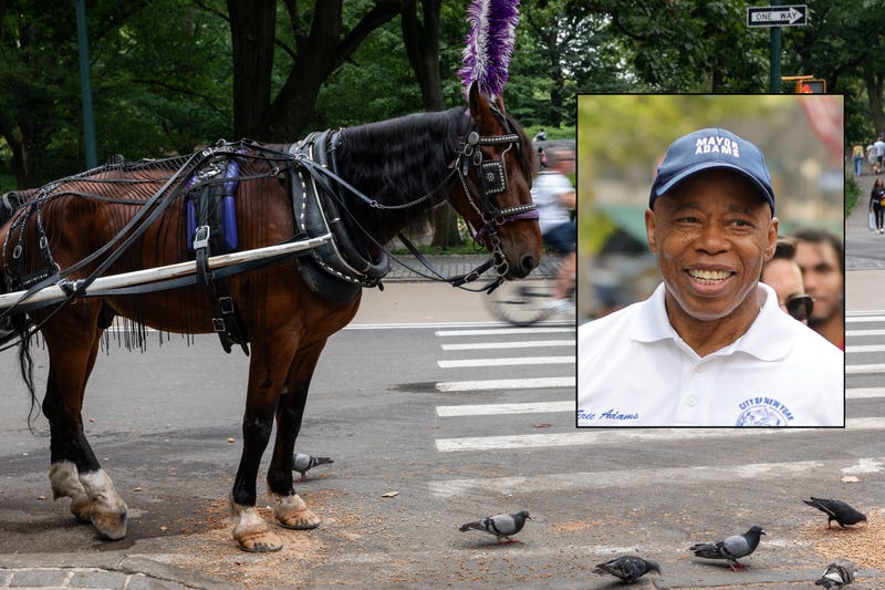 Mayor Eric Adams, in joining supporters of a ban, cited safety concerns in the increasingly crowded green space, including incidents in recent years of horses collapsing and dying on the job or breaking free from their drivers and running loose in the park
