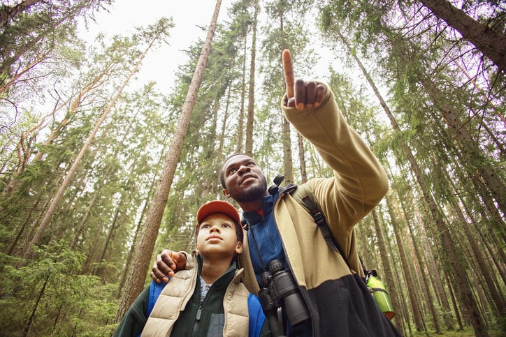 Black man showing forest scenery to preteen boy while standing together outdoors, both looking up at tall trees, man with arm around boy,
