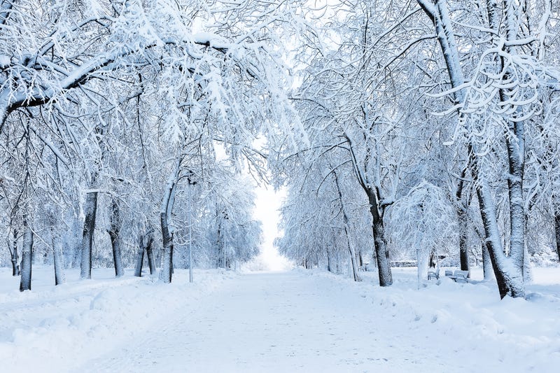 Winter weather stock photo of snow and ice