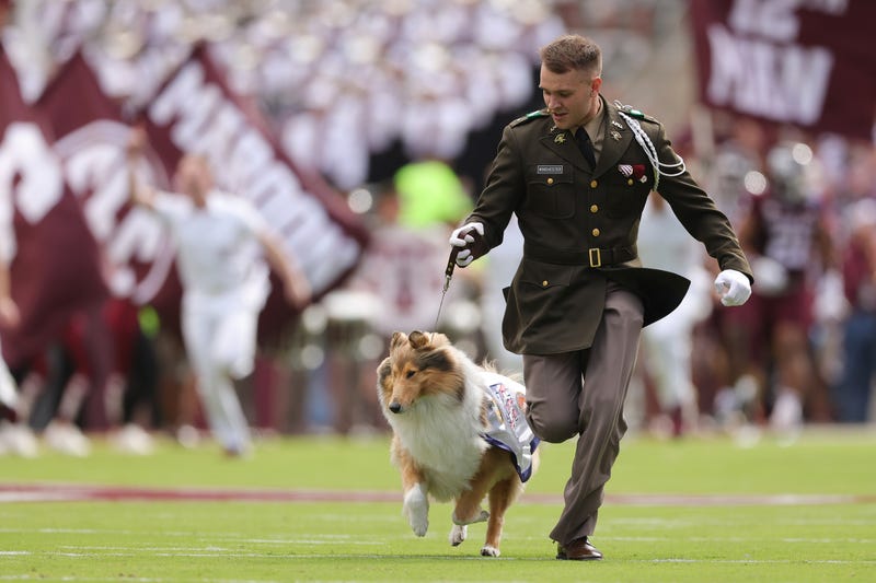 COLLEGE STATION, TEXAS - NOVEMBER 15: Reveille X, mascot for the Texas A&M Aggies, and handler run across the field before they take on the South Carolina Gamecocks at Kyle Field on November 15, 2025 in College Station, Texas. (Photo by Alex Slitz/Getty Images)