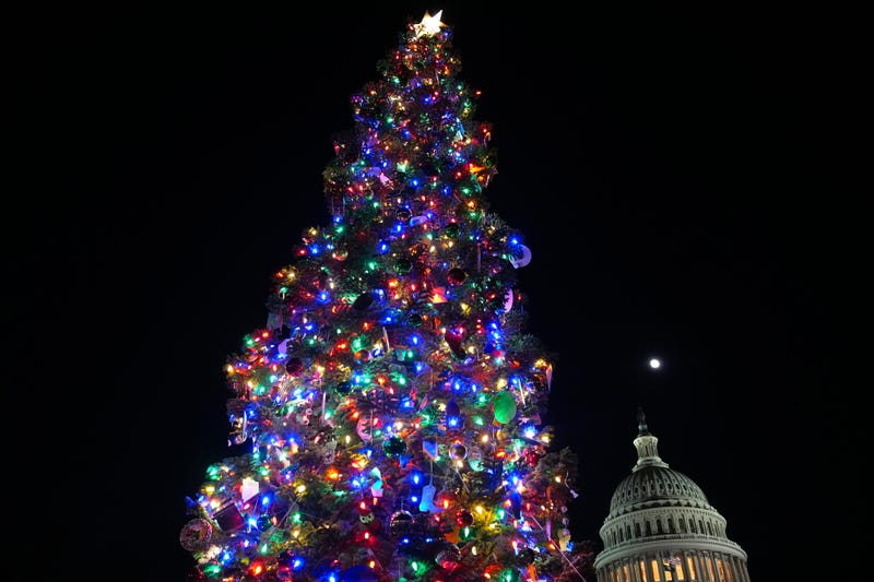 The U.S. Capitol Christmas Tree is lit during a Christmas Tree lighting ceremony on the West Front Lawn at the U.S. Capitol on December 02, 2025 in Washington, DC. 