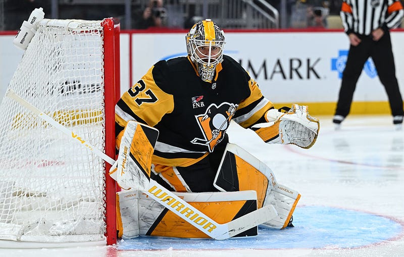 Arturs Silovs in net