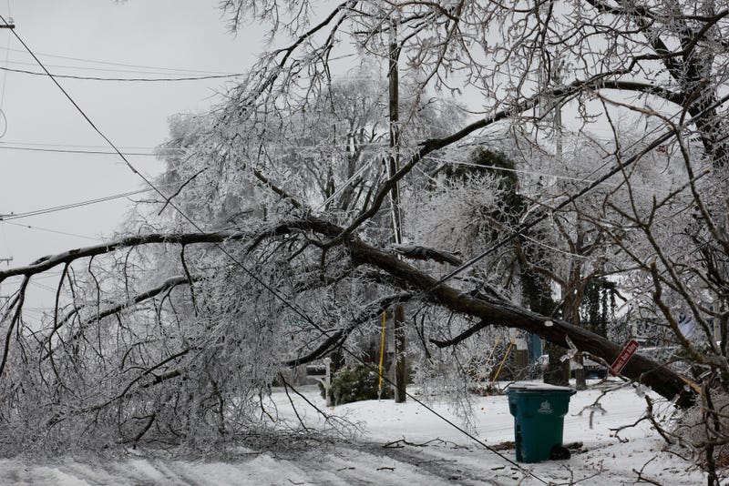 Winter Storm Fern downed power lines across Mississippi and Tennessee 