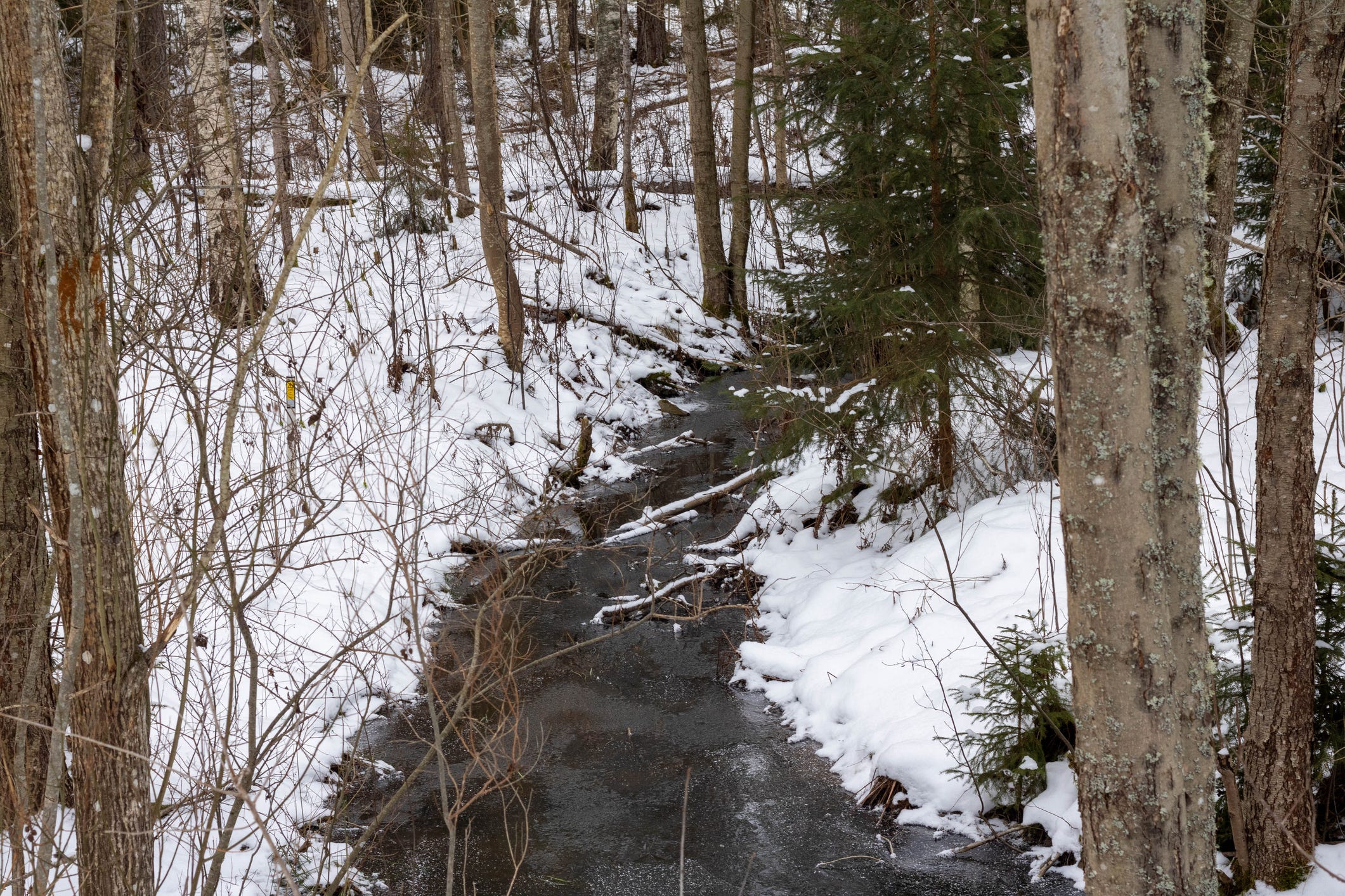 High levels of industrial chemicals found in waterways near Airport