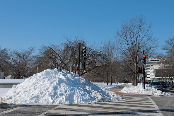Sue Wants A Snow Farm