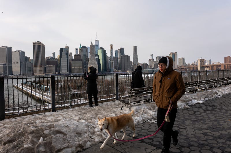People walk along the Brooklyn promenade during last weekend's brutal cold