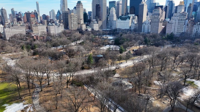 The brazen assault happened as the park was packed with people on a March day when temps tied the record high of 79 degrees