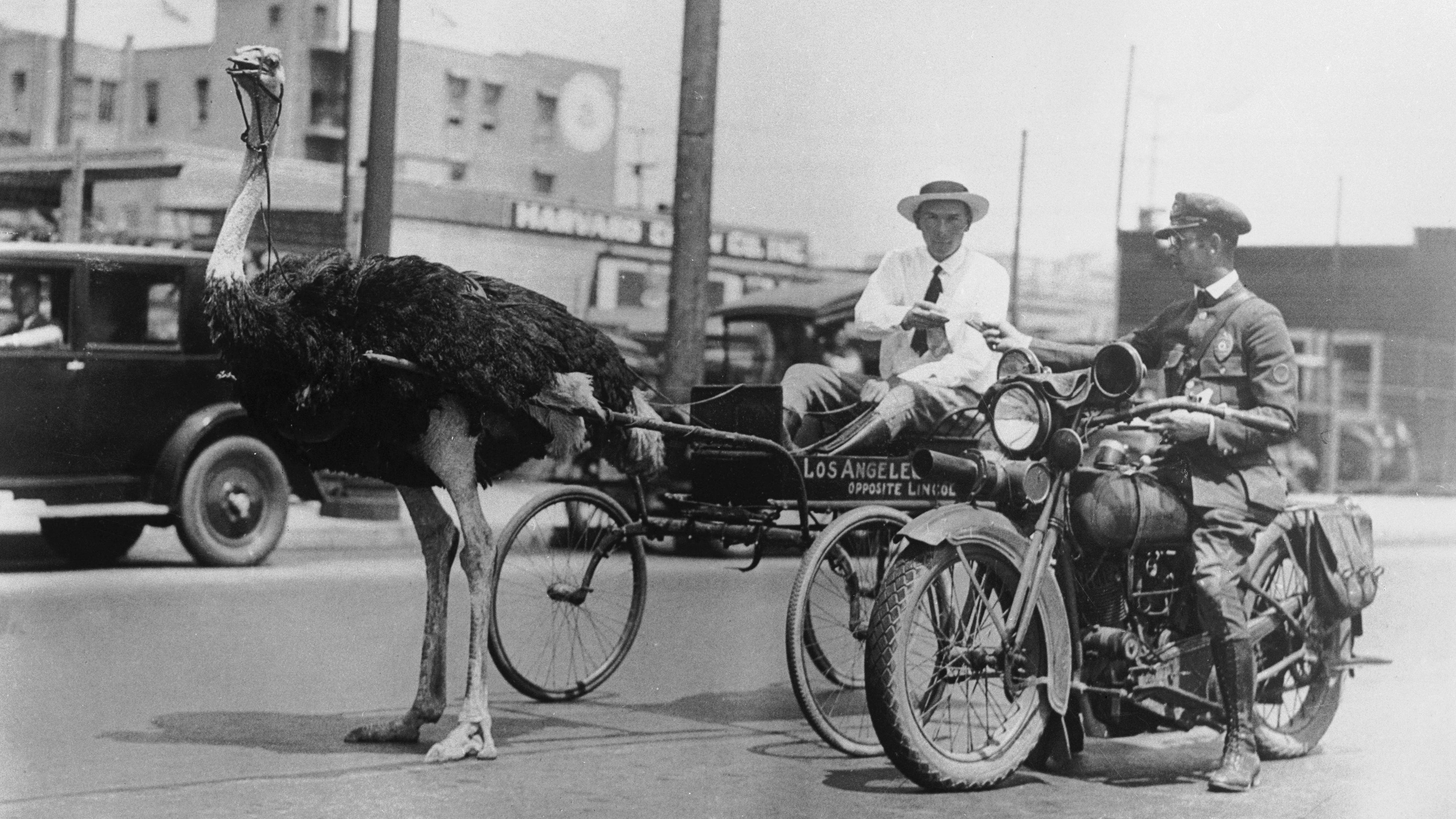 L.A. had its first traffic jam in 1909. Here’s how things went down.