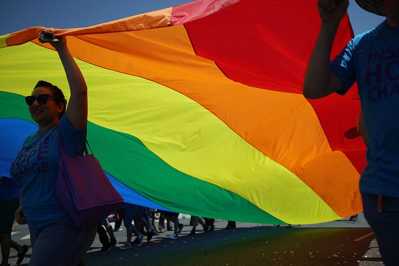 Marchers carry a rainbow flag in the LA Pride Parade on June 8, 2014 in West Hollywood, California.