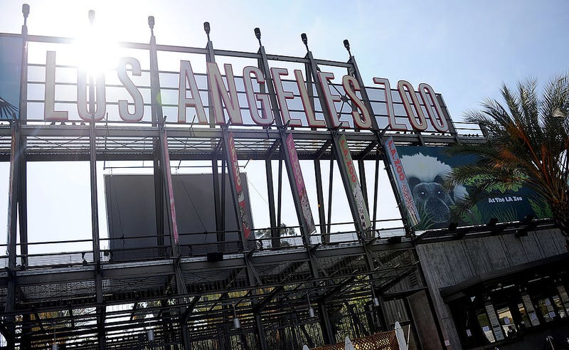 A general view of atmosphere at the Greater Los Angeles Zoo.