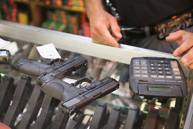 Guns, Straw Purchase, Felony, Minnesota Senate, Minnesota, GOP, DFL