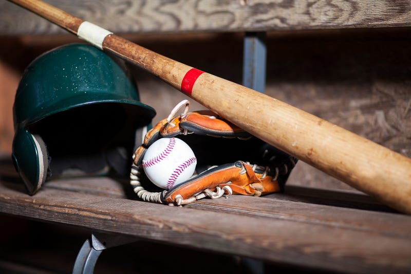 A Metro Detroit baseball league for kids was swindled out of thousands of dollars worth of brand new baseball gear after thieves targeted an equipment shed.