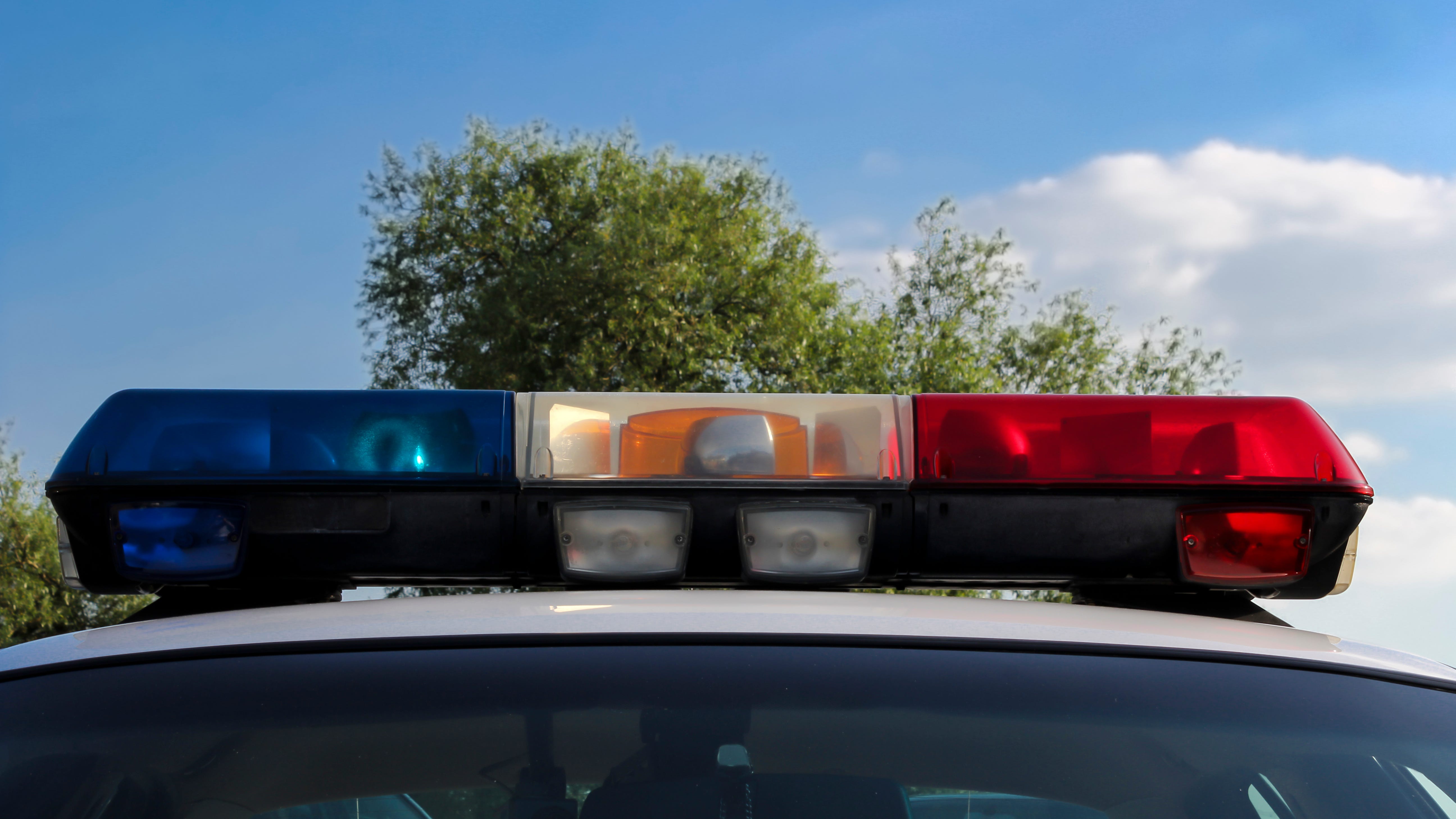 Woman carjacked, dragged in West Loop, then car stolen with her dog inside