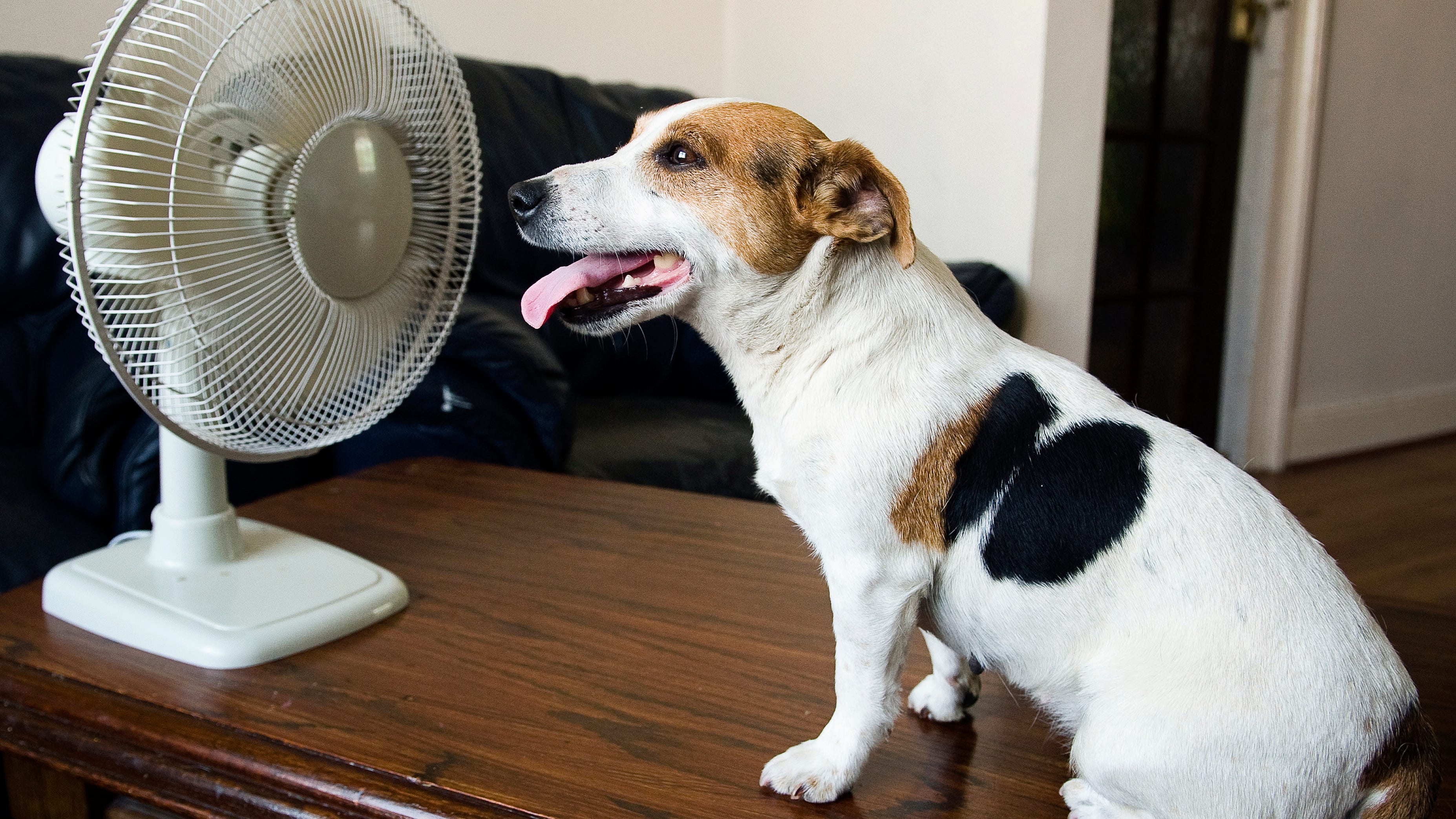 Cooling centers open in L.A. amid triple-digit heat wave