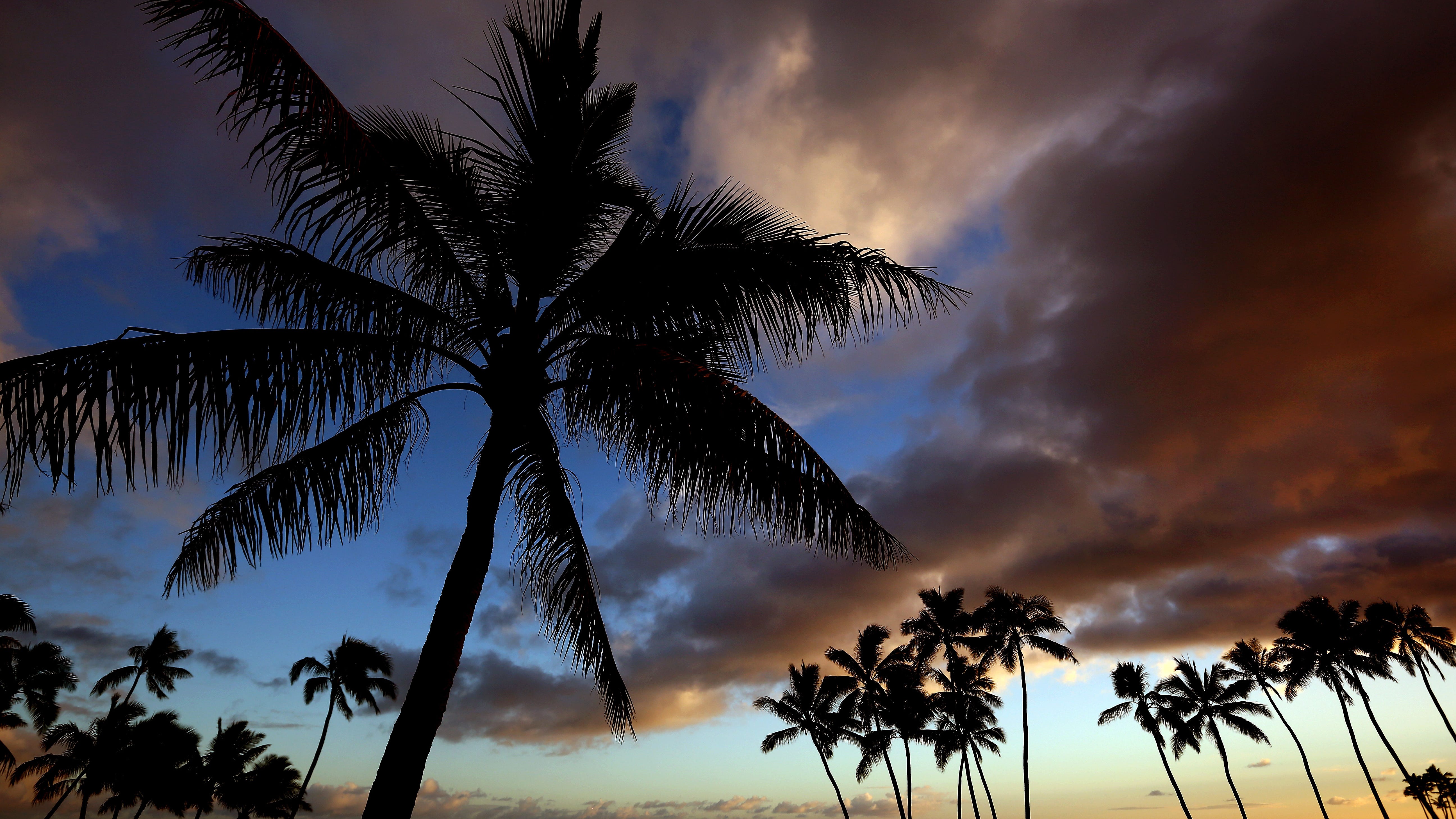 Hawaii travelers have another option for COVID-19 test at San Jose International Airport