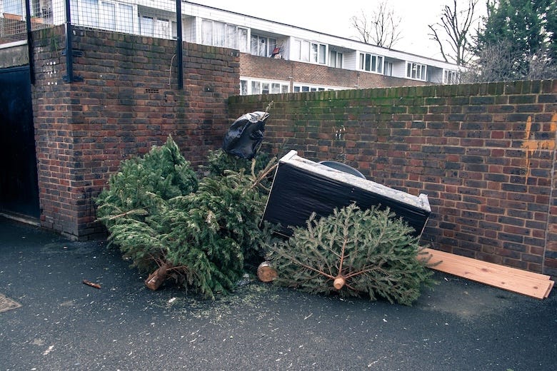 Christmas trees thrown in the garbage