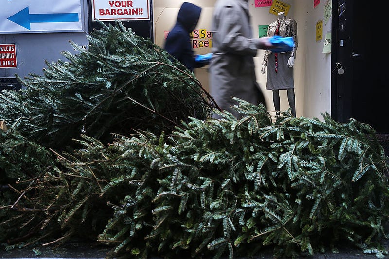 Christmas Trees