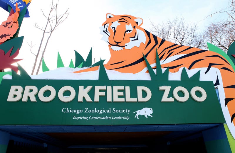 zoo