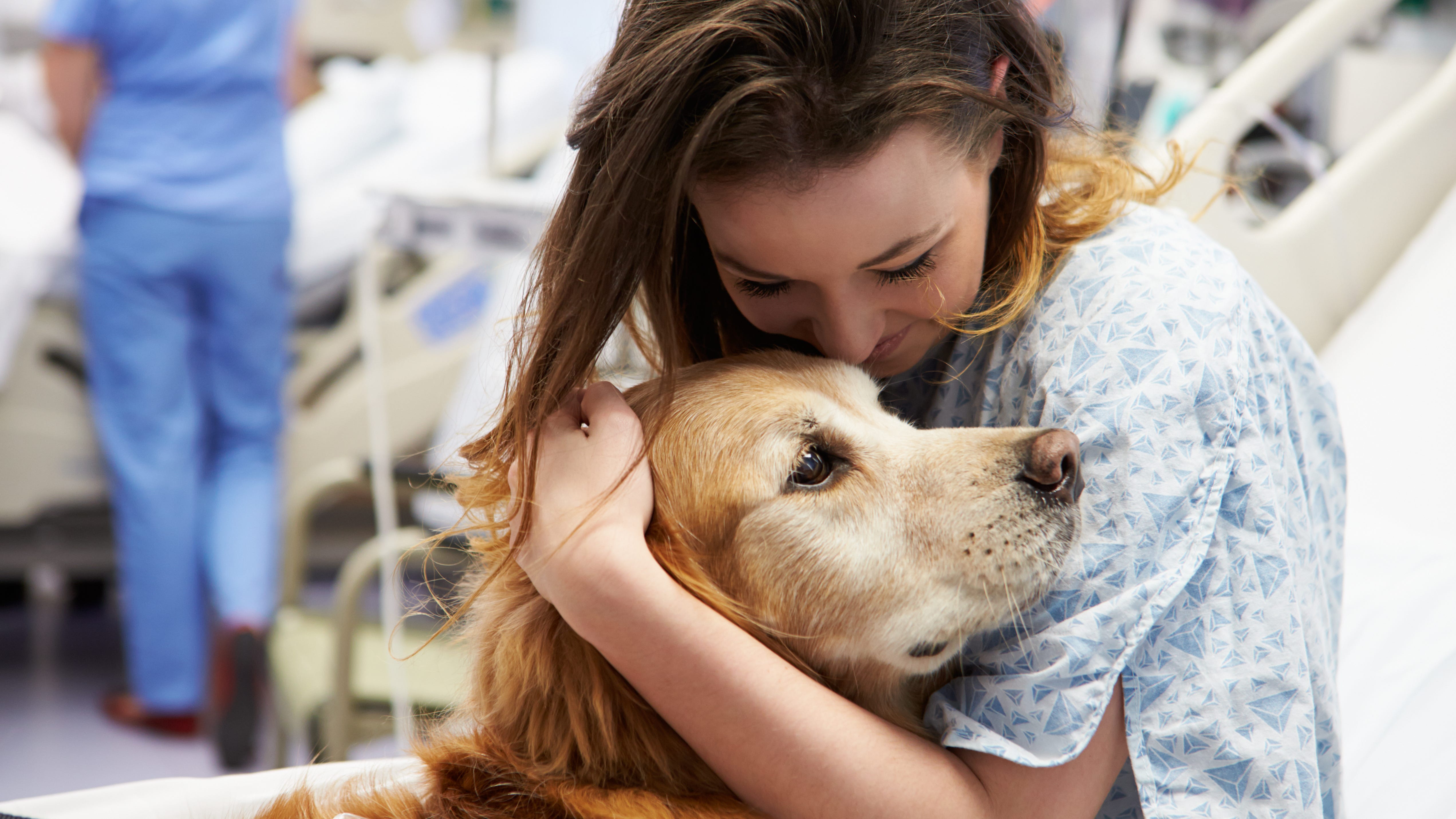 South Jersey hospitals use therapy pets to help staff as well as patients