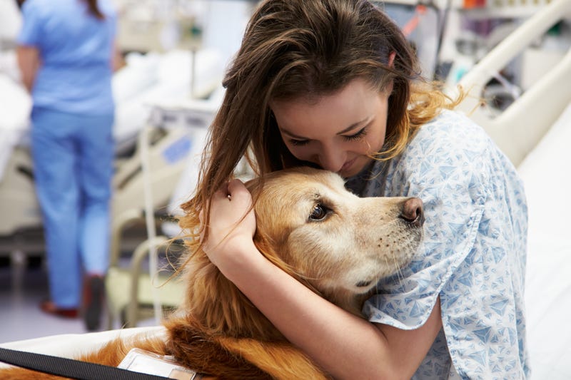 Animal-assisted therapy