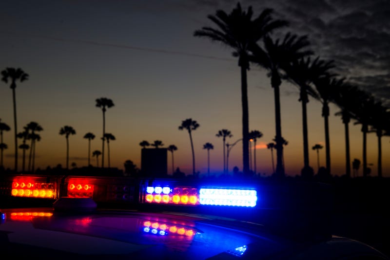 police car palm trees