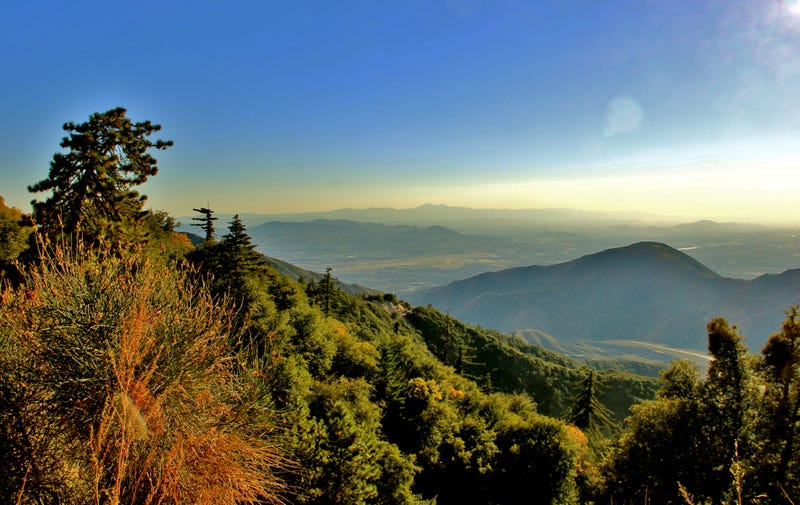 View of the valley of the San Bernardino National Forest.